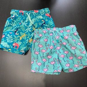 Set of 2T Cat&Jack Swim Trunks